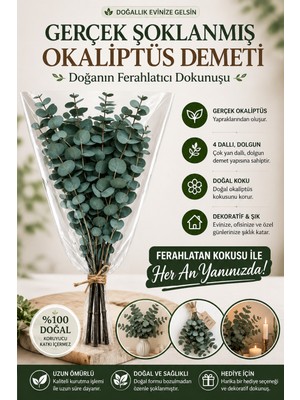 Empressco Doğal Yeşil Okaliptüs Demeti – Şoklanmış Büyük Bitki, Ferahlatıcı Kokusu