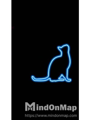 Deccor Evim Cat - Kedi Neon LED Tabela