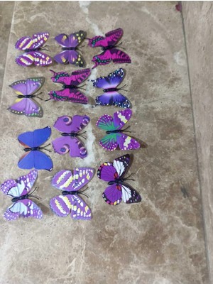 Buççin Online Mağaza  3D Pvc Kelebek Duvar Dekorasyon 24 Adet Plastik Mor