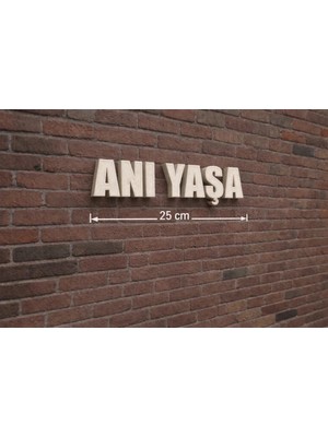 Buççin Online Mağaza  25 cm Anı Yaşa Yazılı 3 Boyutlu Minimalist Duvar Panosu Plastik Beyaz