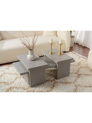 Rani Home Orta Sehpa Gri 110 cm AB-5512