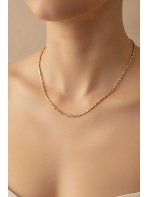 Clariss 14K Gold Renk Kaplama Zincir Model cm Kadın Kolye