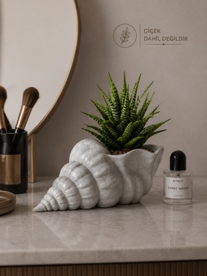 İBERİALHOME Dekoratif Deniz Kabuğu Vazo | Modern Deniz Temalı Saksı | Konsol ve Banyo Dekoru