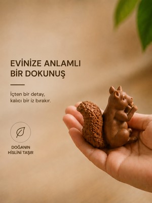 İBERİALHOME 3 Adet Dekoratif Sincap Biblo | Saksı Kenarı Figürü | Sevimli Masa ve Raf Dekoru