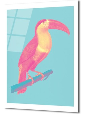 GLAZELLA Pop Art Neon Pembe Toucan Cam Tablo - Tropikal Enerji