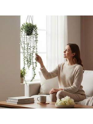 Empressco Siyah Saksıda 80 cm Yoğun Yeşil Yapraklı Pastel Eukaliptus Sarkıt