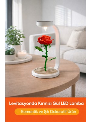 Empressco Kırmızı Gül LED Lamba – Modern ve Şık Ev Dekoru, Gece Işığı