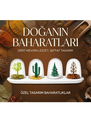 Colezium Seasoning Shs Dört Mevsim Baharatlık