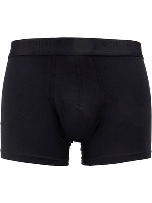Whitefin Siyah Erkek Boxer