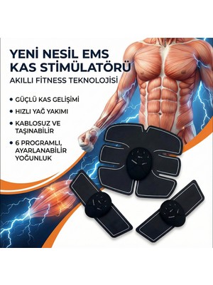 Colezium Sixpad Kas Geliştirici Masaj Aleti