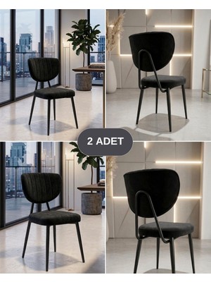 Özcan Mobilya Aksesuar 2 Adet Siyah Metal Ayak Mutfak Salon Sandalyesi Kafe Restoran Sandalyesi Demonte Sandalye