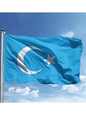 Die Grup Zc Bayrak Doğu Türkistan Milli Gönder Bayrağı 70X105 cm Raşel Dijital Baskı