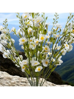 Empressco Yapay Kır Çiçeği, 50 Cm, Beyaz, Dekoratif Çiçek, Hediye Fikirleri