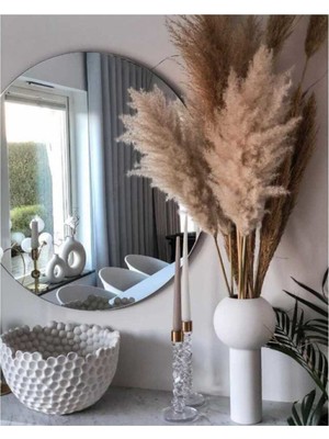 Empressco Doğal Pampas Otu 50 cm 10’lu Set, Şık ve Zarif Dekorasyon Unsuru