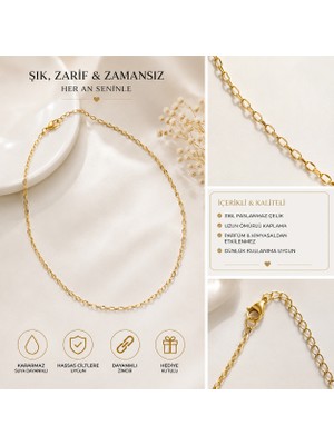 Kase Jewelry Altın Renkli, Paslanmaz Çelik, Ince Halkalı Zincir Kolye