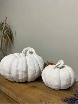 Ham Dekoratif Balkabağı Çift Obje