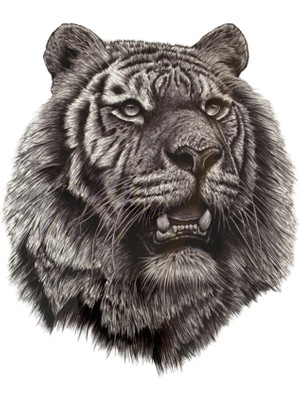 Hediye Vakti Kaplan Kafası Geçici Dövme - Büyük Boy Gerçekçi Siyah Beyaz Geçici Tattoo