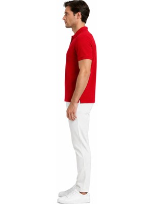 Can Çapar Erkek Regular Fit Polo Yaka Basic Tişört