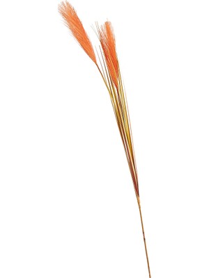 Paşabahçe Grass Turuncu / Bej 92 Cm, Dekoratif Yapay Buket, Şık Tasarım, Salon ve Ofis Için Ideal, Solmaz Renk