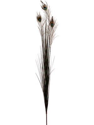 Paşabahçe Peacock 136 Cm, Dekoratif Yapay Buket, Şık Tasarım, Salon ve Ofis Için Ideal, Solmaz Renk