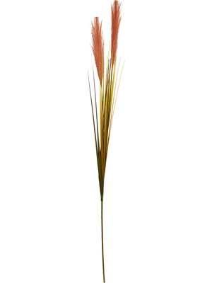 Paşabahçe Grass 92 cm Kahverengi, Dekoratif Yapay Buket, Şık Tasarım, Salon ve Ofis Için Ideal, Solmaz Renk