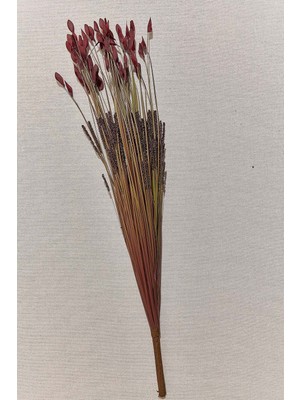 Paşabahçe Grass 75 cm Kırmızı, Dekoratif Yapay Buket, Şık Tasarım, Salon ve Ofis Için Ideal, Solmaz Renk