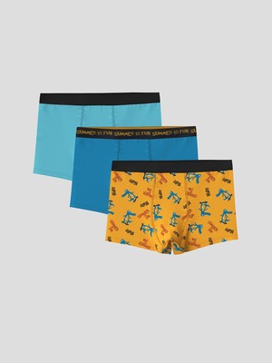 Lc Waikiki Yeni Sezon Baskılı Erkek Çocuk Boxer 3'lü
