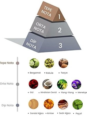 Prova Bambu Çubuklu Oda Kokusu Amber Dark 100 ml