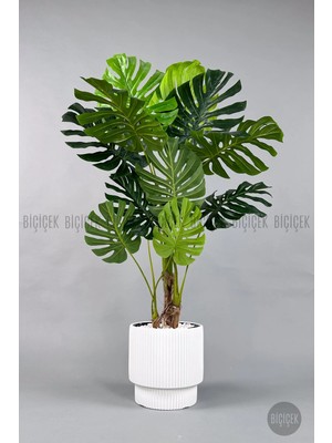 Biçiçek Yapay Monstera Agacı 160 cm Beyaz Vega Saksıda