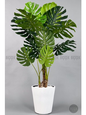 Biçiçek Yapay Monstera Agacı 160 cm Beyaz Luna Saksıda
