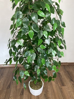 Biçiçek Yapay Monstera Agacı 200 cm Siyah Lilyum Saksıda