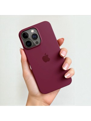 ProNorth Iphone 16 PRO Uyumlu Kılıf Logolu Lansman Soft Yumuşak Içi Kadife Silikon Kapak