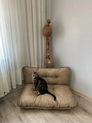 SİTEHOME Petek Önü Yer Minderi Bahçe ve Palet Minderi Ikili Takım