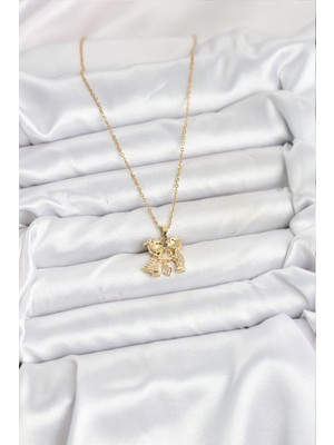 Fantastik Store 316L Çelik Zincir Gold Renk Erkek Kız Model Kadın Kolye - Lisinya