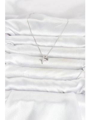 Fantastik Store Pirinç Gümüş Renk Minimal Kutup Yıldızı Model Kadın Kolye - Lisinya