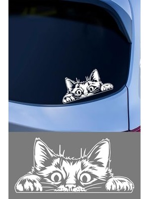 Die Grup Bagajdan Bakan Kedi Oto Araba Sticker, Cam ve Metal Yüzeye Uygun, Vinil, Düz Desen, Mat, 15X15 Cm, Kendinden Yapışkanlı (Beyaz)