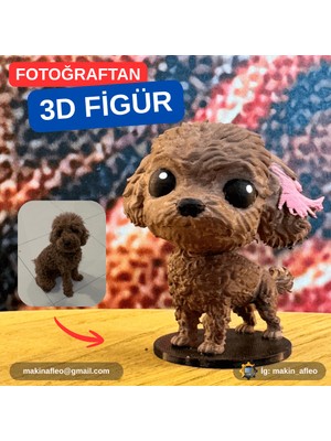 Makinafleo Kişiye Özel 3D Evcil Hayvan Figürü (20CM)