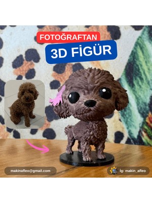Makinafleo Kişiye Özel 3D Evcil Hayvan Figürü (25CM)