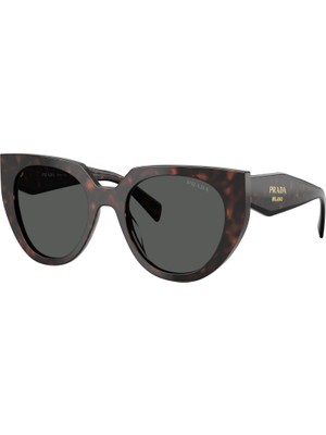 Prada Güneş Gözlüğü Pr 14WS 52 17N40L