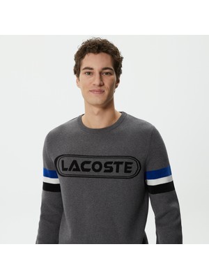 Lacoste Erkek Regular Fit Uzun Kollu Bisiklet Yaka Renk Bloklu Koyu Gri Triko