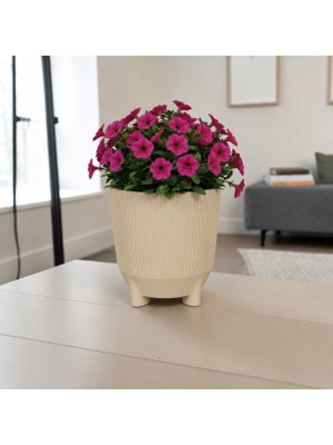 Poliwork 1 Litre Ayaklı Luna 13 Plastik Saksı Dekoratif Çiçek Saksısı Modern Bitki Saksısı