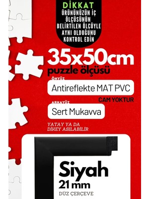 65638 Resim Çerçevesi 20 3 x 30 5 cm Siyah