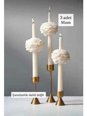 Empressco 3'lü Şakayık Çiçekli Dekoratif Kokulu Mum Seti