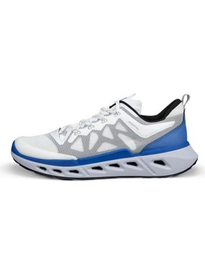 Ecco Biom 720