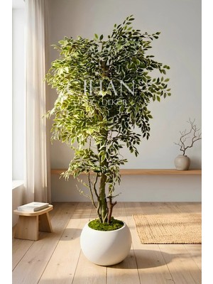 Cihan Çiçekçilik Yapay Benjamin Starlight Ağacı 180 cm - Küre Saksılı