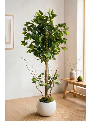 Cihan Çiçekçilik 120 cm Yapay Benjamin Ağacı Küre Saksılı Premium Salon Bitkisi