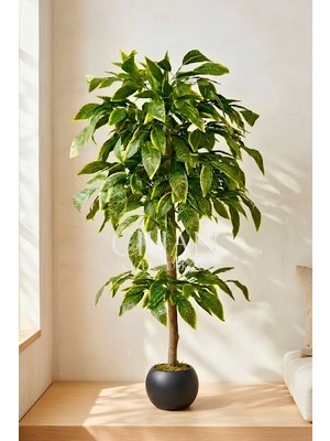 Cihan Çiçekçilik Premium Kalite Yapay Ceviz Ağacı 180 cm 27X33 Küre Saksı