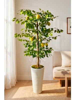 Cihan Çiçekçilik Premium Yapay Limon Ağacı 170 cm - 8 Limonlu 56X30X20 Kumsal Saksılı