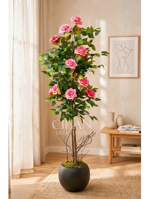 Cihan Çiçekçilik Yapay Pembe Gül Ağacı 150 cm 27X33 Siyah Küre Saksılı