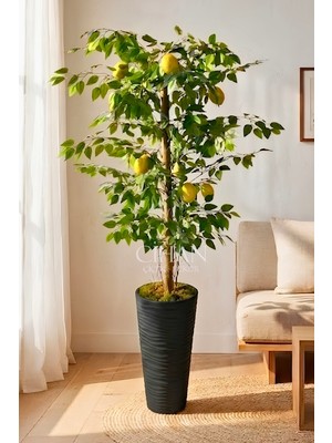Cihan Çiçekçilik Premium Yapay Limon Ağacı 170 cm - 8 Limonlu 56X30X20 Kumsal Saksılı